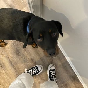 Meet your Posher, Addie